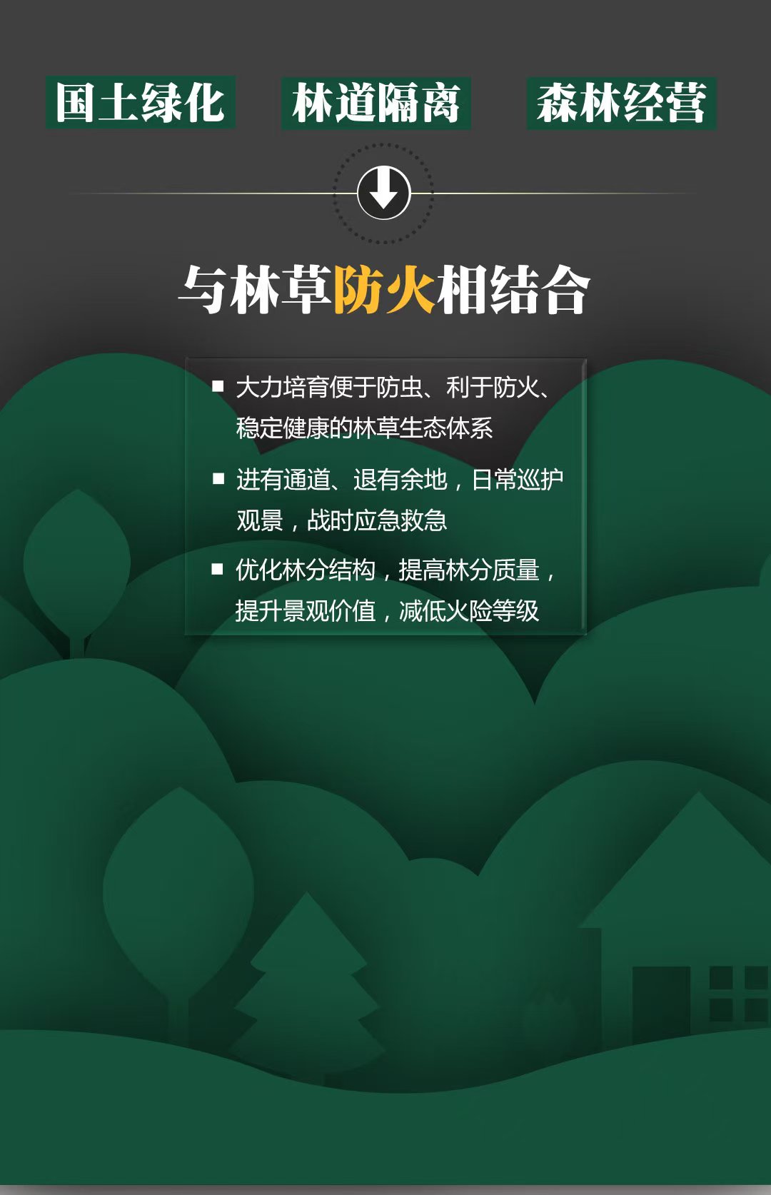 1faccf28be7f46848fd75a789c3e2a12.jpg
