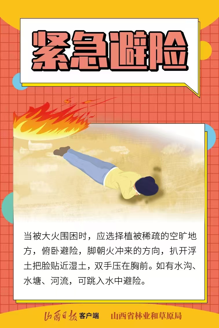 9fed49253ae7498c8eae99248a5c56d3.jpg