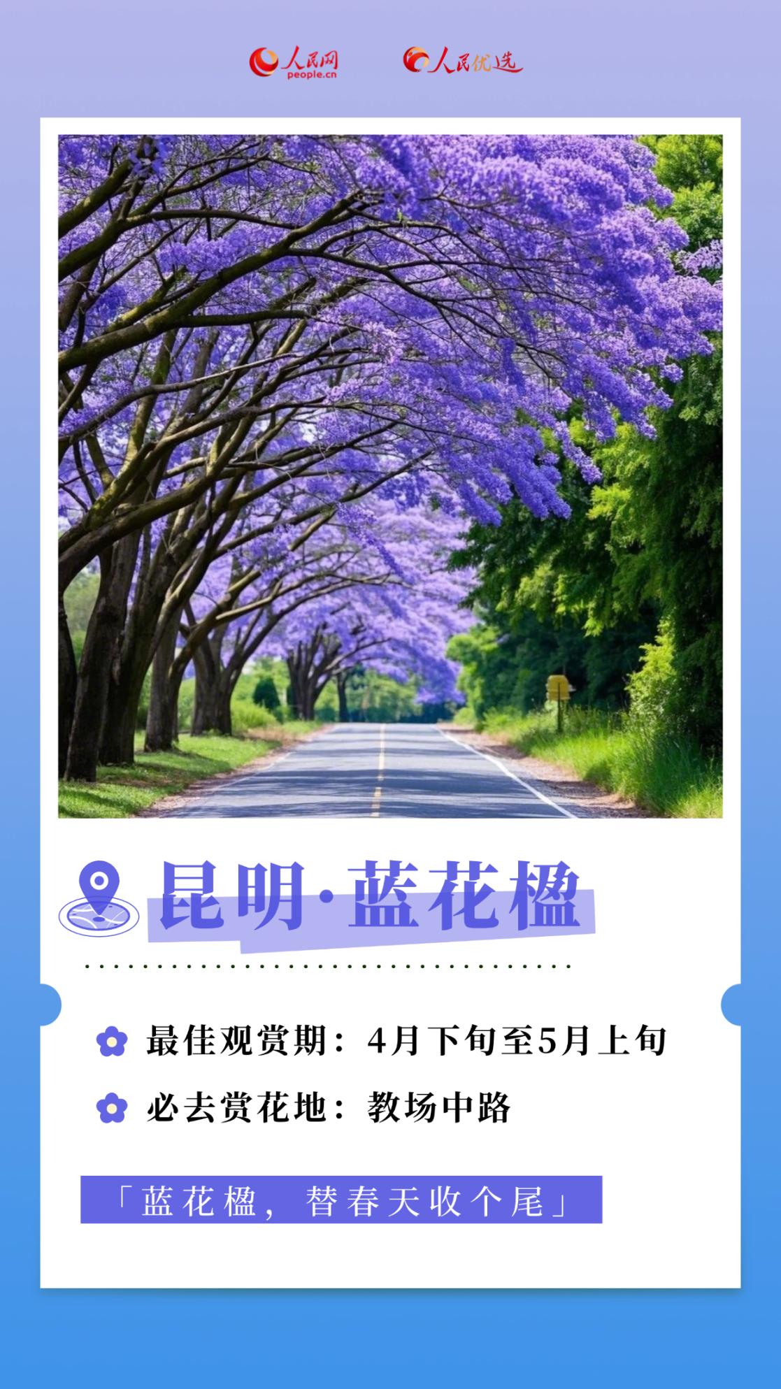 0f8b810b9ec74d18b68b65550dd7fb5e.png