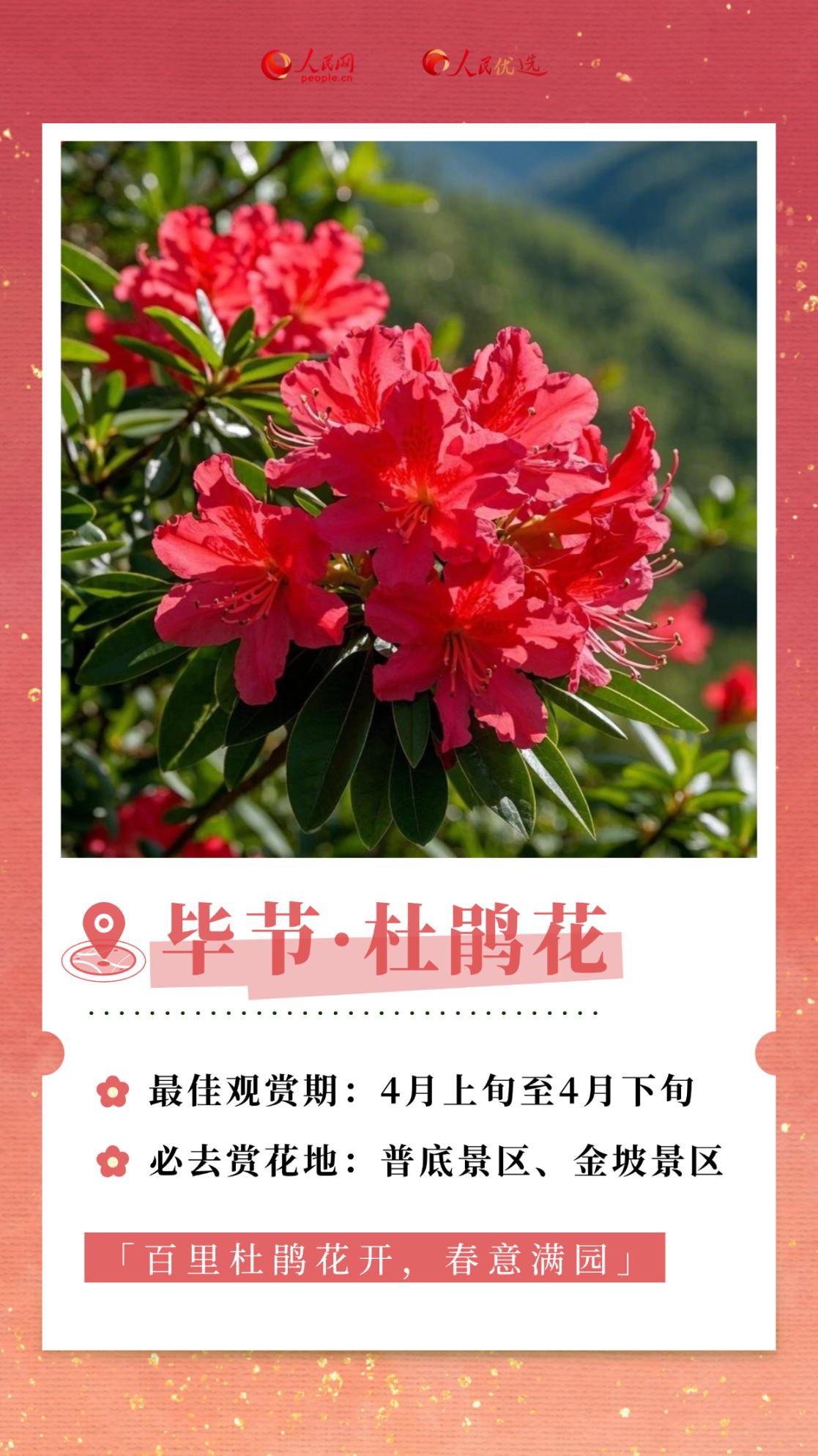 3e759cc395114cfca11a6762a0a2a6d0.png