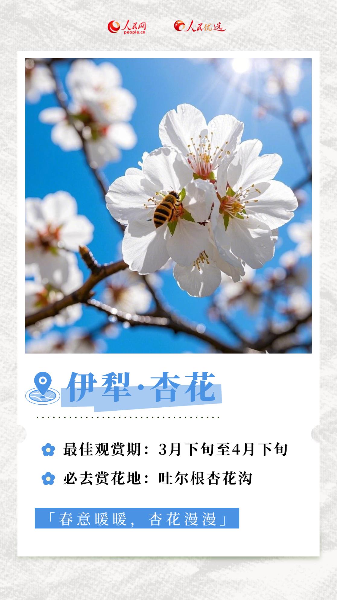 4ee0501d7bf745319ef181eaa1a5580d.png