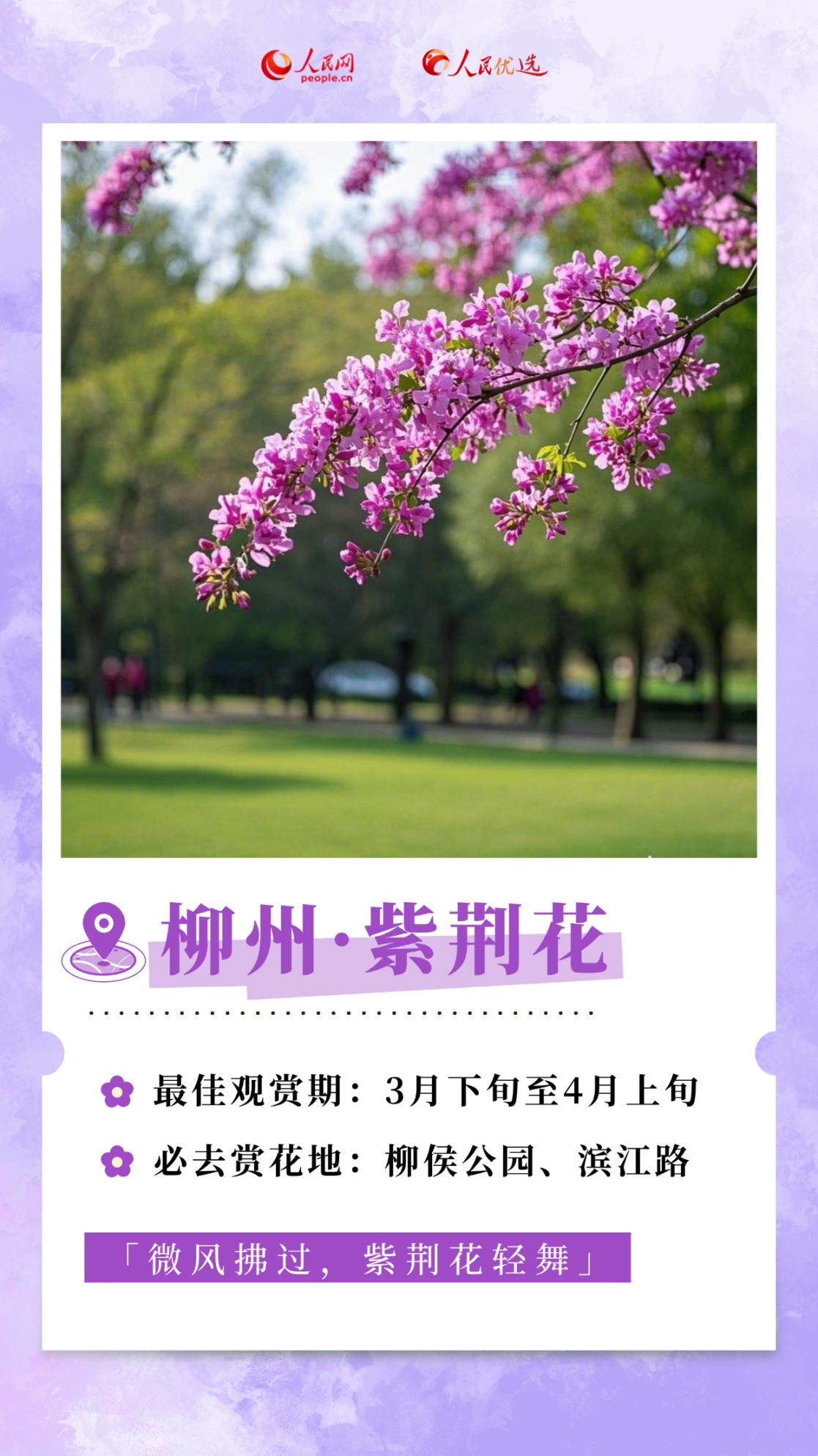 d81bf33abb574c5aacfe53377f0d3782.png