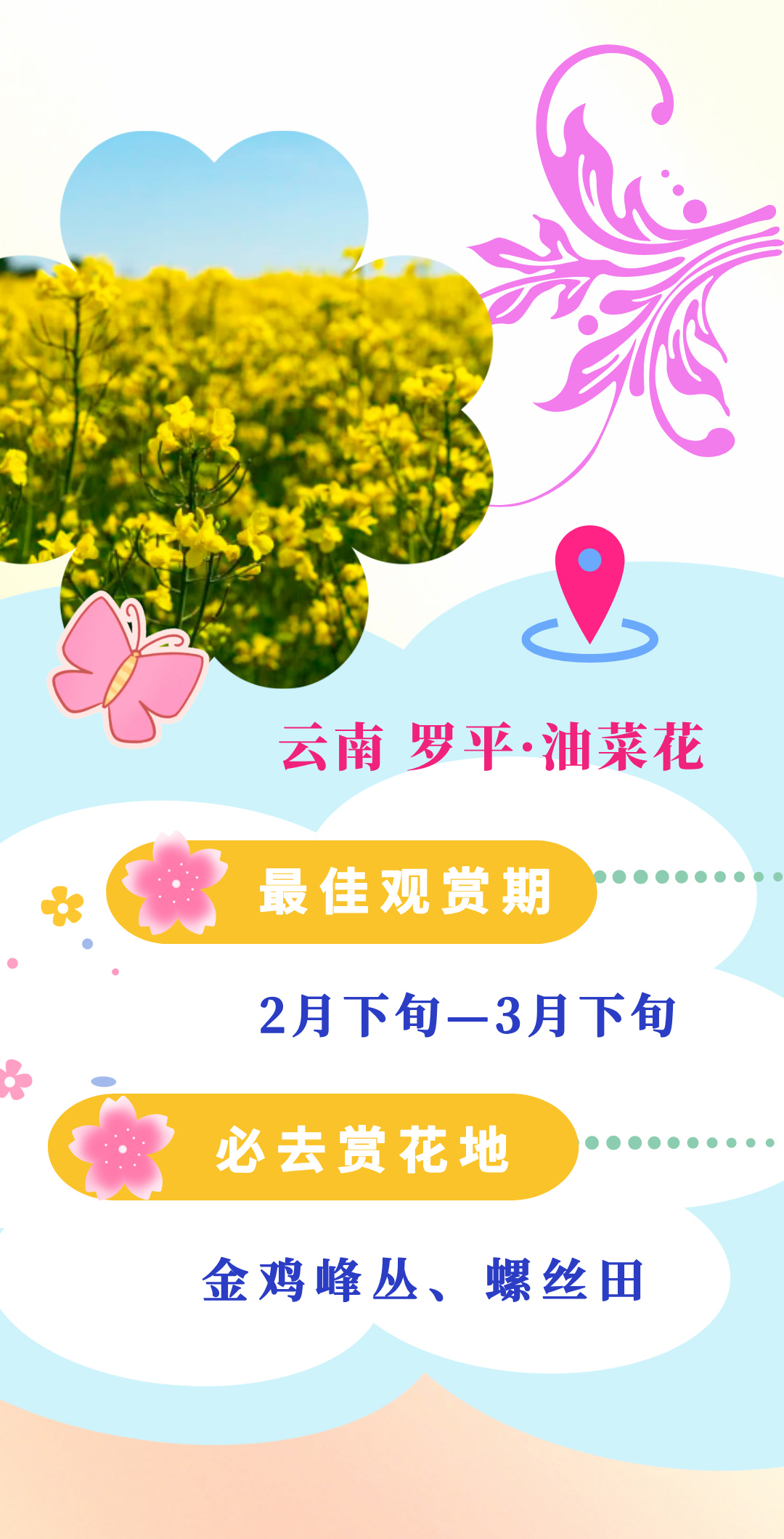 7c713fff4f3e4fa0ac30465ab66dfe2b.jpg