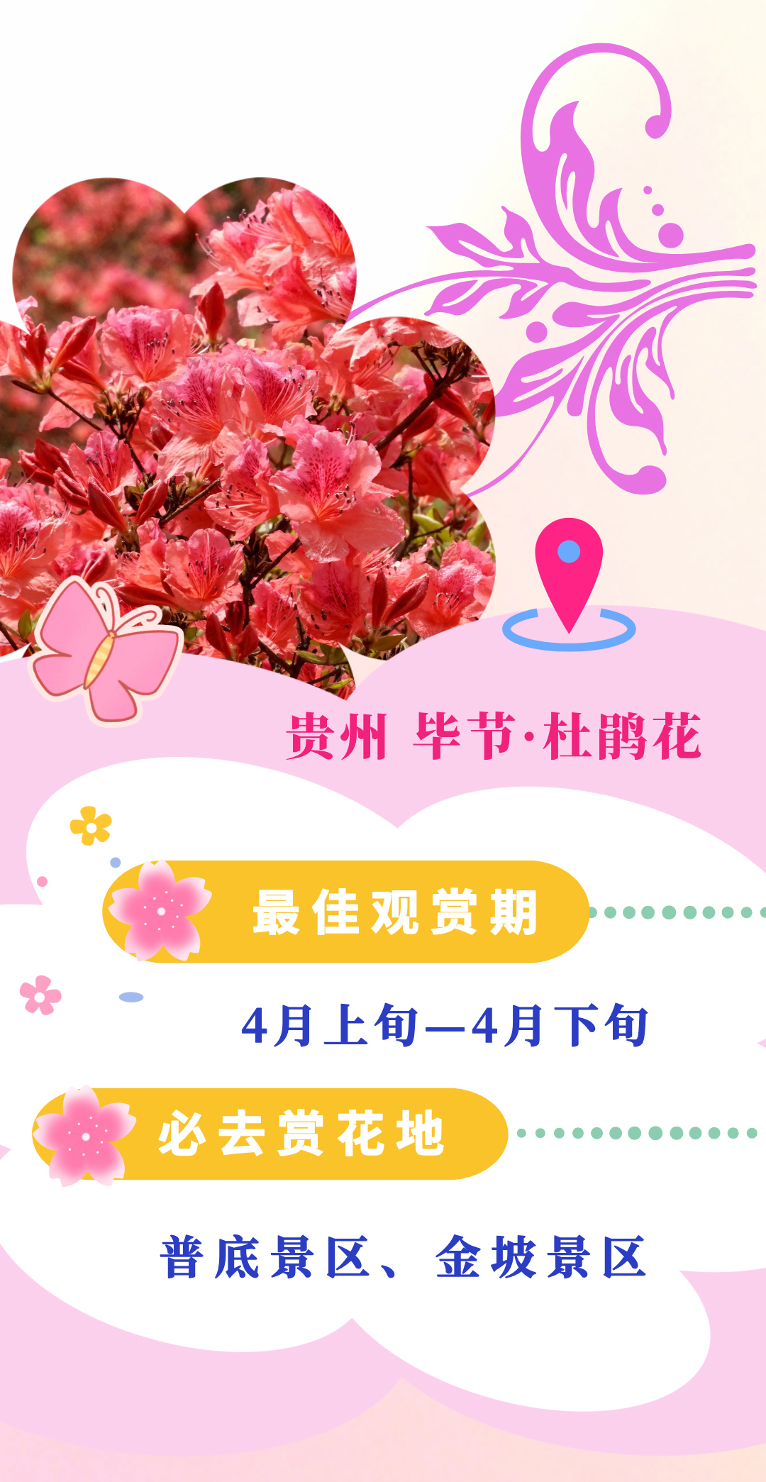 a1a462aebb68465ab7cd188378a73057.jpg