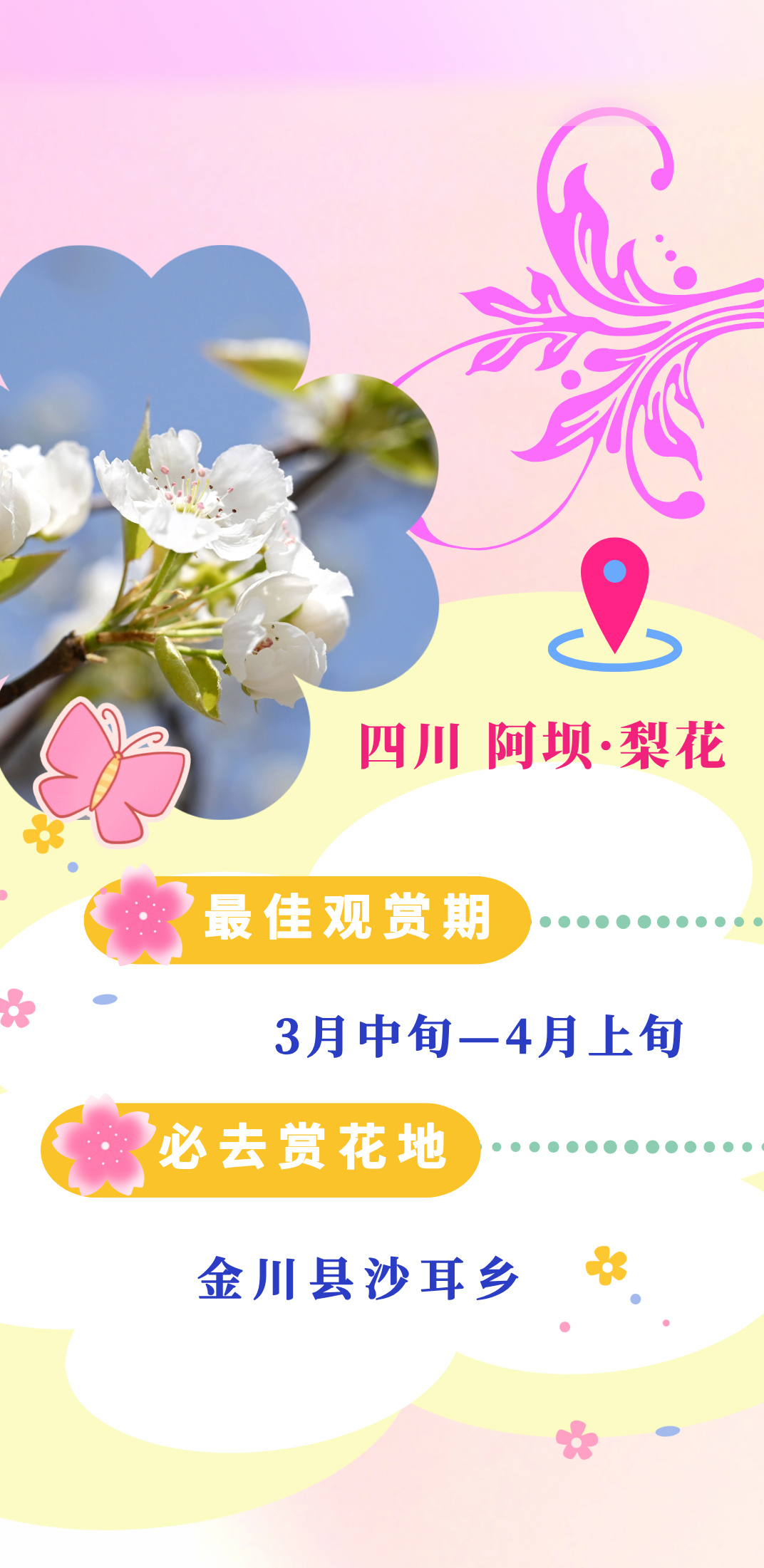 b88645216bf049a494b90f23ceb318bd.jpg
