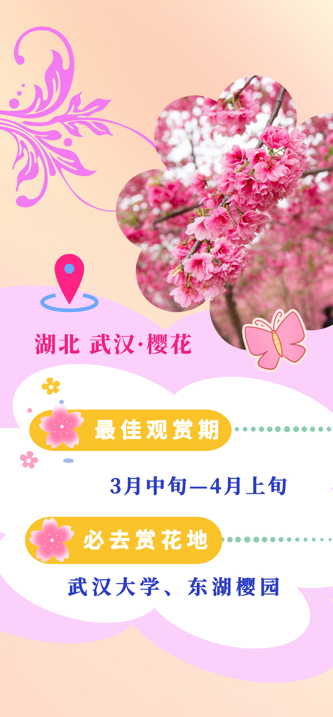 bb048a9cea53403c996010161c51105d.jpg