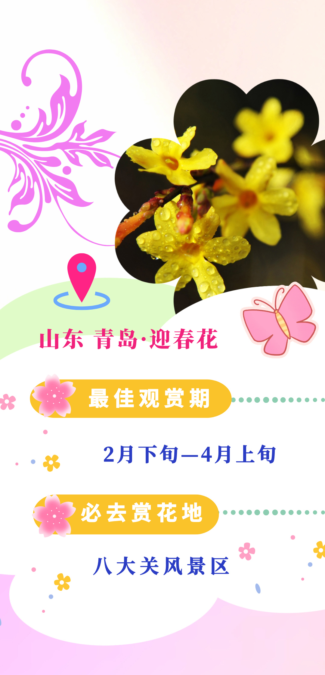 c5174e606842421f93a550e70e443c5f.jpg