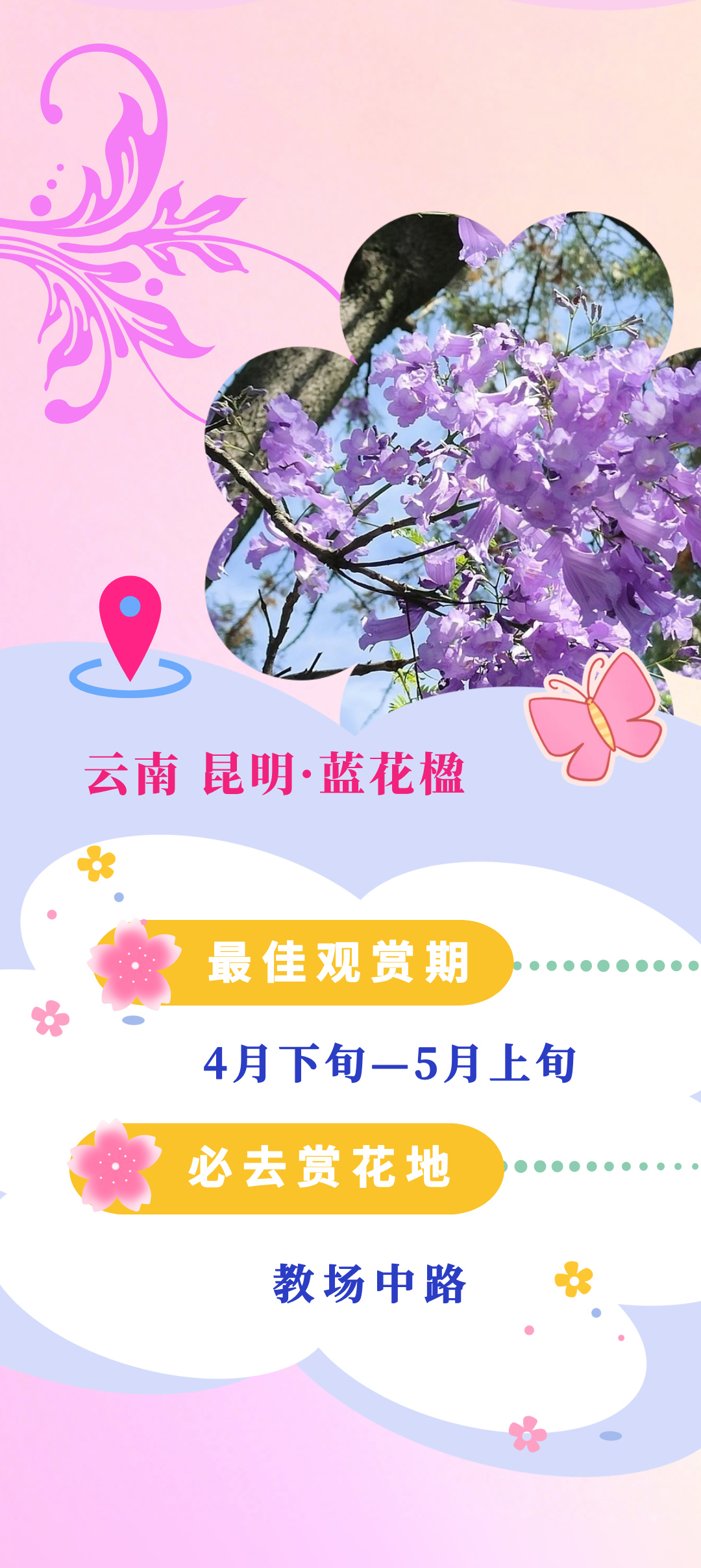 d641aad90ca648dc846ac790c530b0b6.jpg