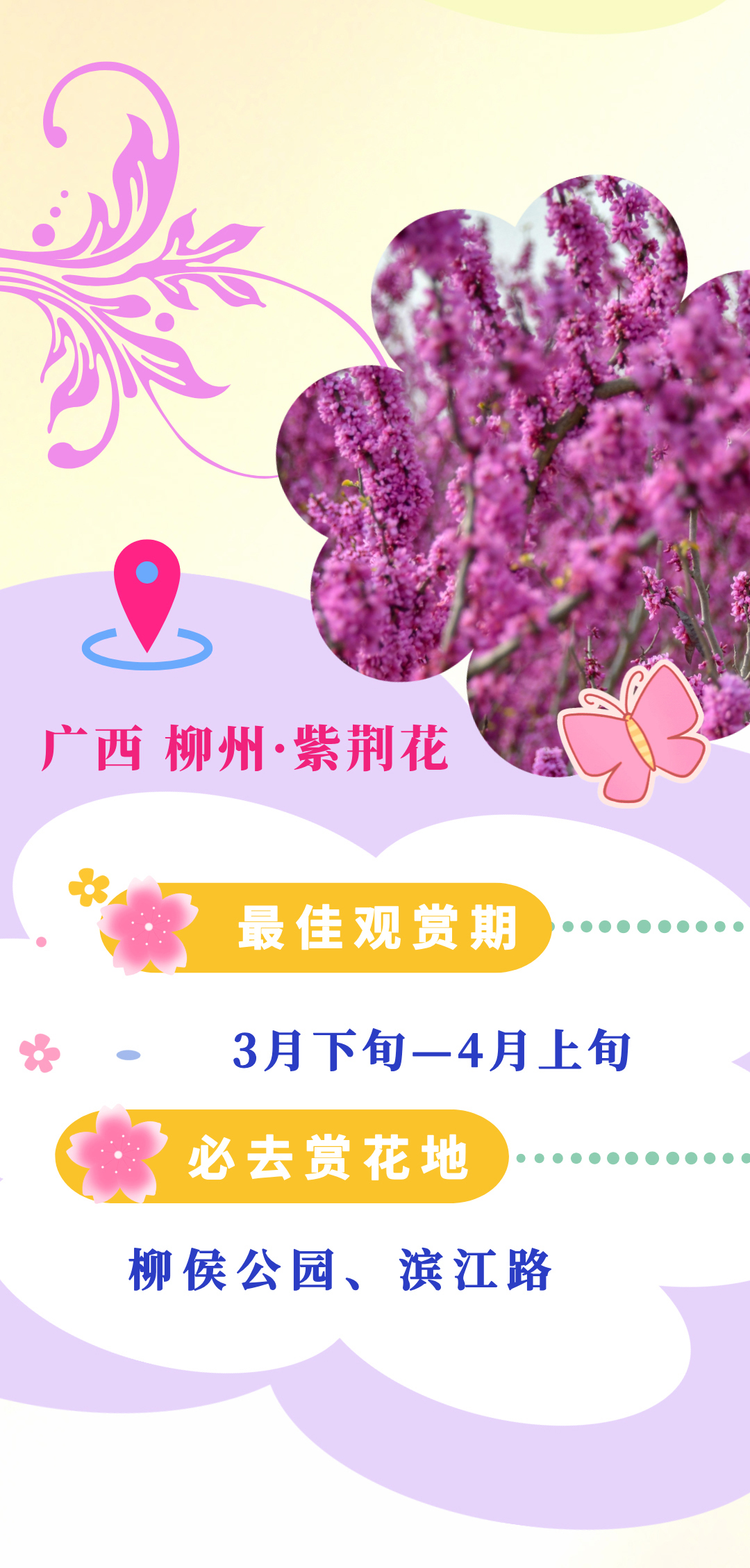 e2b1d8cbd6a7429db47cb9a8dc475b19.jpg